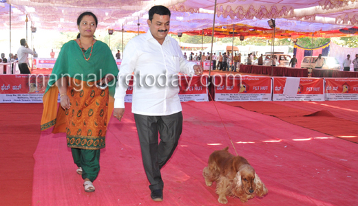 Dog show in Mangalore